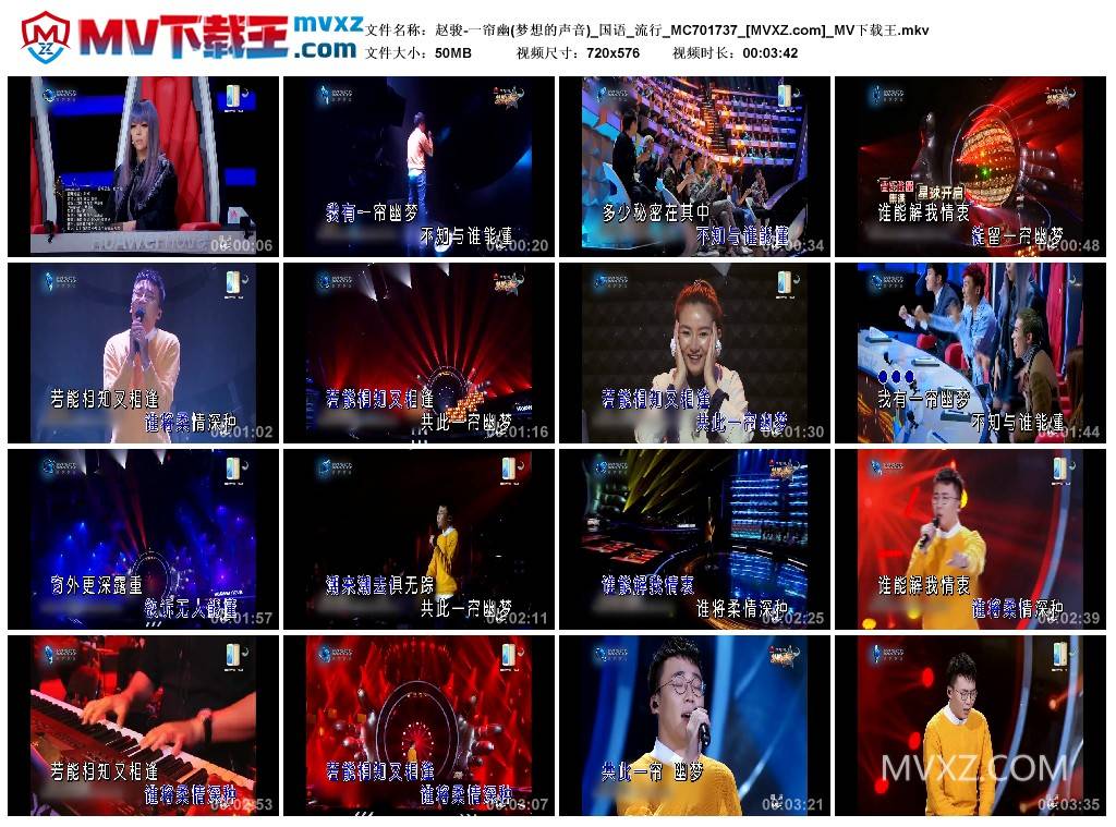 赵骏-一帘幽(梦想的声音)_国语_流行_MC701737